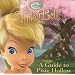 A Guide to Pixie Hollow