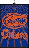 Florida Gators Golf Towel