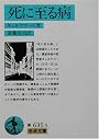死に至る病 (岩波文庫)