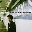 The Fine Art Of Self Destruction