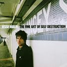 Fine Art Of Self Destruction