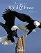 Arizona: Wild & Free