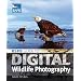 RSPB Guide to Digital Wildlife Photography
