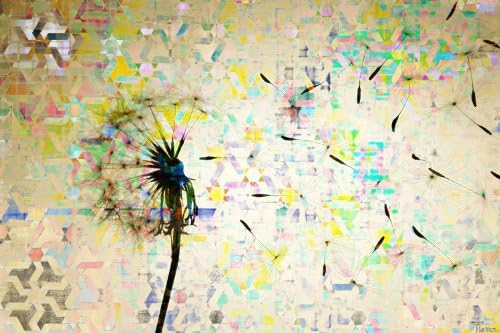 Parvez Taj Moroc Dandy UV Ink Canvas Artwork, 60 by 40-Inch