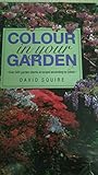 Colour in your garden