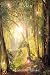 Books : Eden