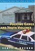 Policing Gangs and Youth Violence (Contemporary Issues in Crime and Justice Series.)