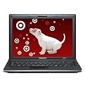 Samsung 12.1" Netbook Computer - Black (NC20-21GBK)