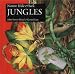 Jungles (Nature Hide & Seek)