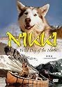Nikki - Wild Dog of the North [DVD] [1961] [US Import] [NTSC]