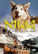 Nikki - Wild Dog of the North