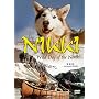 Nikki - Wild Dog of the North