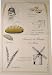 French Bread Making instructional and Pictorial on Printed Towel. Terroirs de France Tea Towel