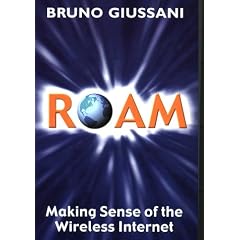 Roam: Making Sense of The Wireless Internet