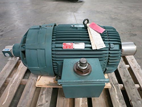 NEW Reliance Electric 125HP 447T 6-90 Hz Inverter Duty VXS Variable Speed Motor