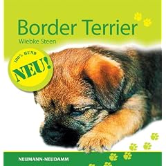 Border Terrier