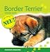 Image of Border Terrier