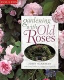 Gardening With Old Roses