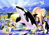 Review Jumbo 01865 / Jumbo Puzzle - Polar Kingdom (1000 pieces)
