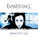 Evanescence - Bring Me to Life