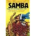 The Mystery of Samba: Popular Music and National Identity in Brazil (Latin America in Translation/enTraduccion/em Traducao)