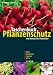  : Taschenbuch Pflanzenschutz von Januar bis Dezember
