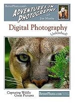 Digital Photography Unleashed: Capturing Wildly Great Pictures