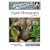 Digital Photography Unleashed: Capturing Wildly Great Pictures