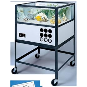 Click here to buy Hubbard Scientific 35155 Oceanic Saltwater Aquarium, 55 Gallon by Hubbard Scientific.