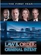 Law & Order: Criminal Intent - The Complete First Season