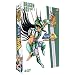 Int�grale Saint Seiya. Coffrets VF/VOst.
