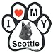 Scottie Paw Magnet (6in)