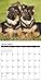 2016 Just German Shepherd Puppies Wall Calendar