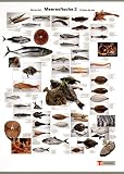 Meeresfische / Marine Fish / Poisson de mer, Poster, Nr.2 - Christian Teubner