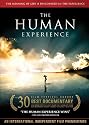 The Human Experience