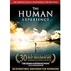 The Human Experience