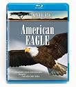 Nature: American Eagle [Blu-ray]