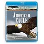 Nature: American Eagle [Blu-ray]