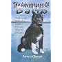 Balto The Untold Story of Alaska's Famous Iditarod Sled Dog