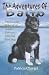 Balto The Untold Story of Alaska's Famous Iditarod Sled Dog