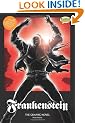 Frankenstein: The Graphic Novel (American English, Original Text)