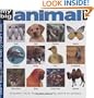 My Big Animal World Book (Smart Kids)