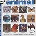 My Big Animal World (Smart Kids)