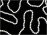 Shiny Clear Iridescent Beaded Christmas Garland 9 x 8mm