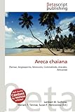 Areca Chaiana-