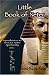 Little Book of Neter: Introduction to Shetaut Neter Spirituality and Religion