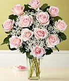 On Sale One Dozen Long Stemmed Pink Roses by Proflowers