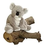 Kaylee Koala 11 Soft Toy (31071)