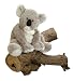 Kaylee
Koala
11