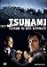 Tsunami - Terror in der Nordsee
